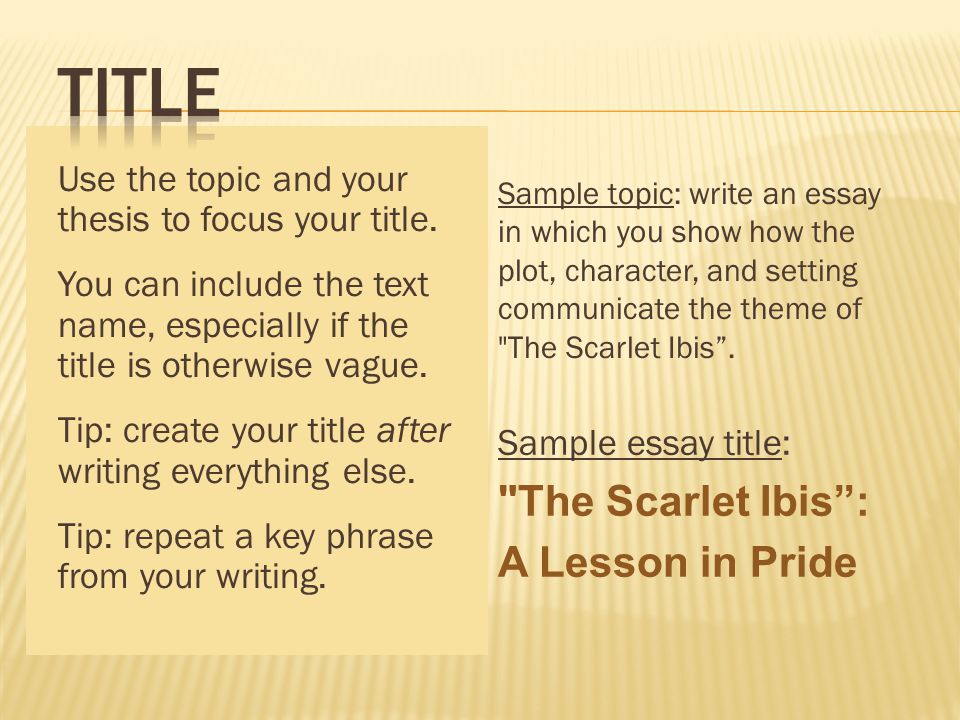 Essay r easy discount code